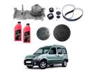 Bomba D'Agua + Kit Correia Sandero Kangoo + Selo do Motor + Aditivo